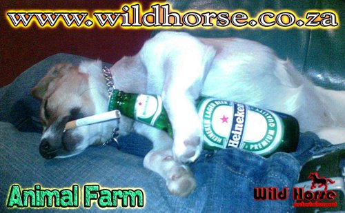 A Karaoke Doggie...