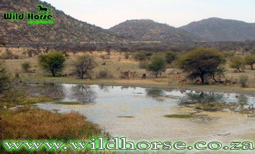Tau Game Lodge Breakfast View